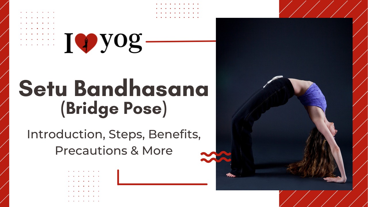 Setu Bandhasana (Bridge Pose) Introduction, Steps, Benefits, Precautions & More