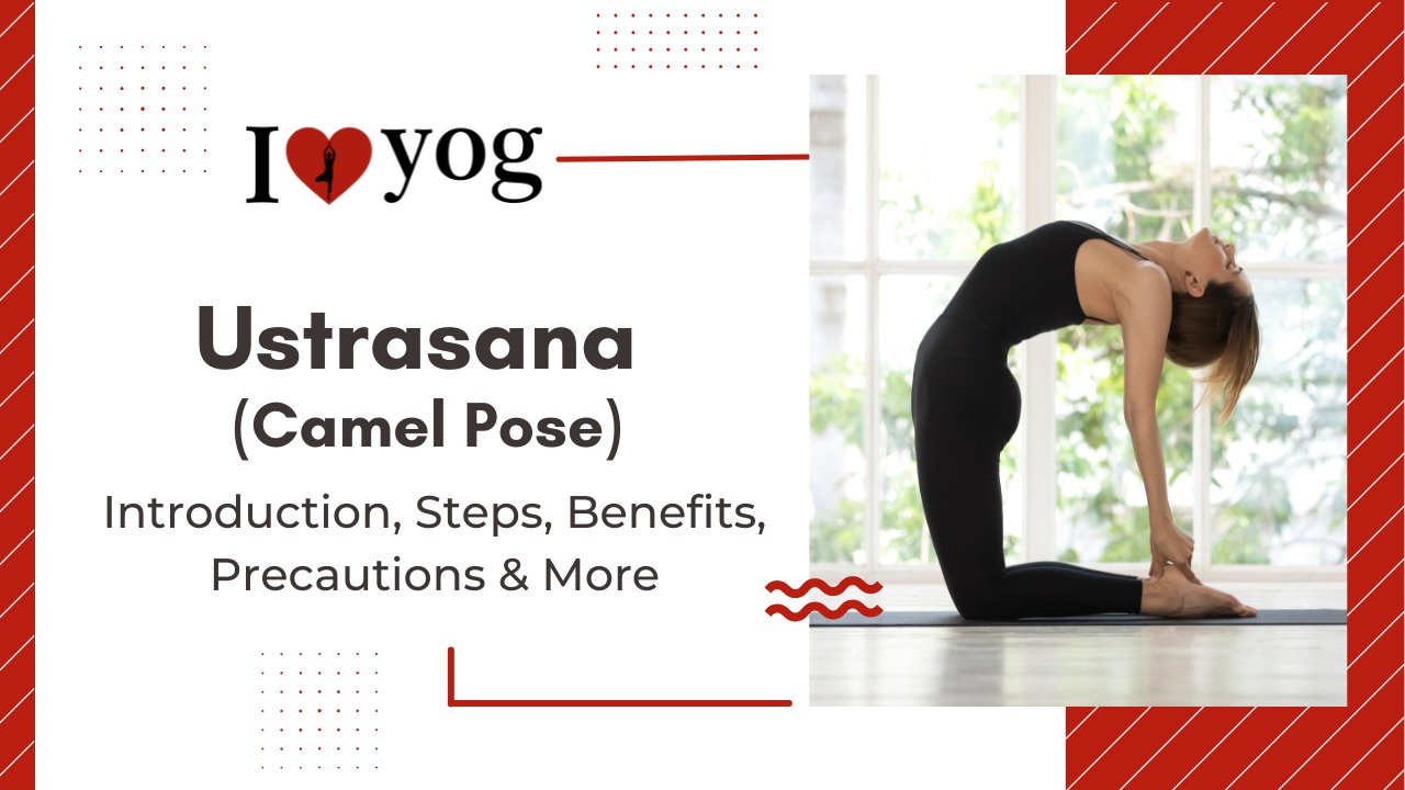Ustrasana (Camel Pose) : Introduction, Steps, Benefits, Precautions & More