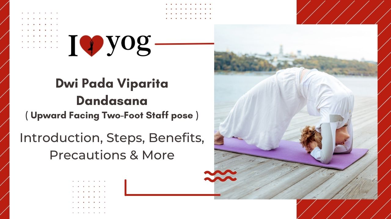 Upward Facing Two-Foot Staff pose(Dwi Pada Viparita Dandasana): Introduction, Steps, Benefits, Precautions, Expert Tips & Alterations