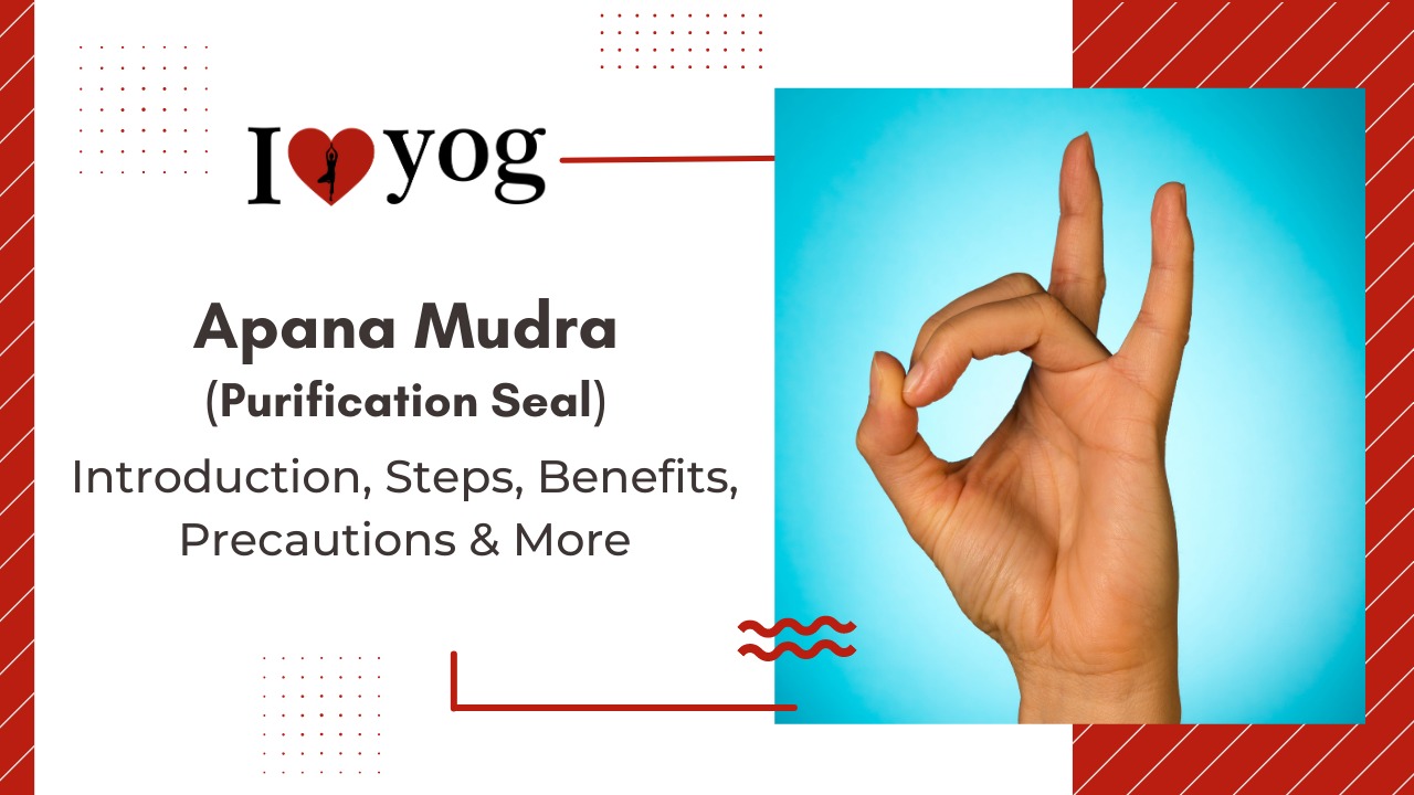 Apana Mudra (purification seal): Introduction, Steps, Benefits, Precautions, Expert Tips & Alterations