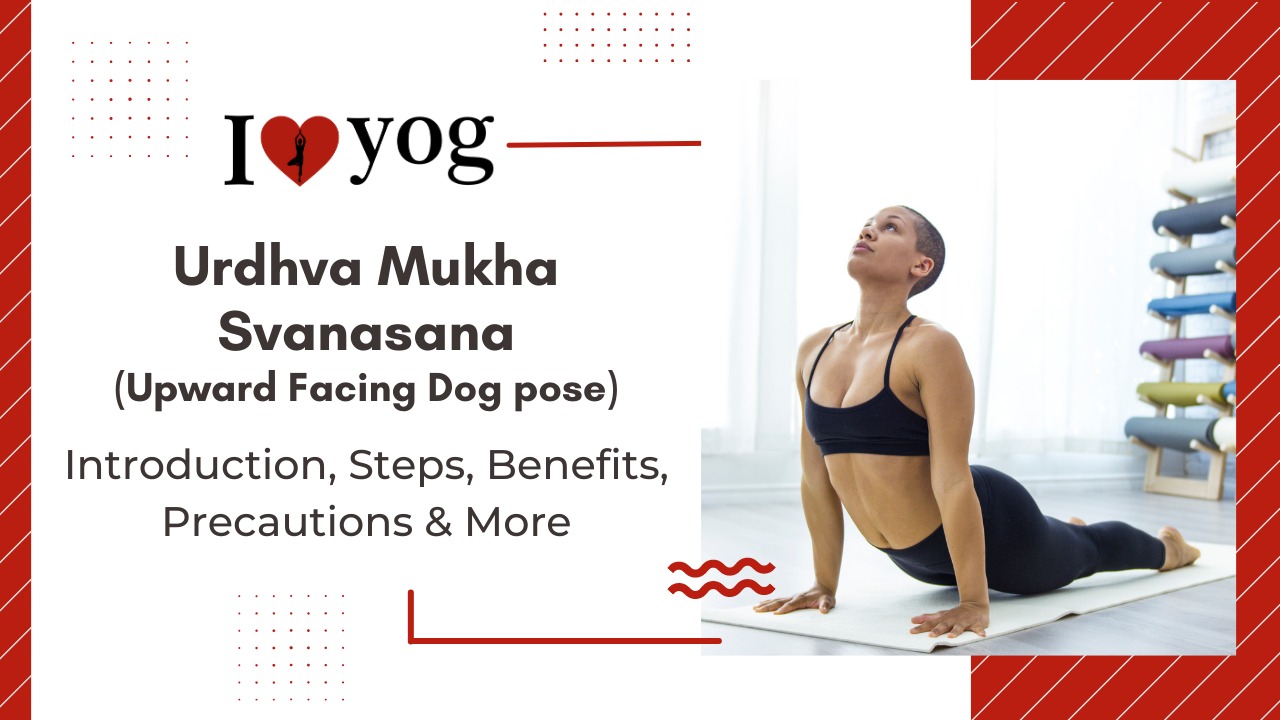 upward-facing-dog-poseurdhva-mukha-svanasana-introduction-steps-benefits-precautions-expert-tips-alterations