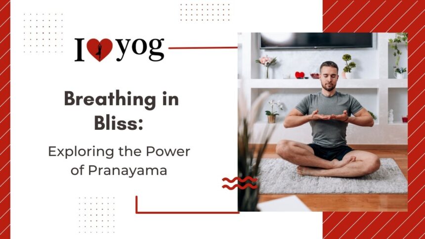Breathing in Bliss: Exploring the Power of Pranayama